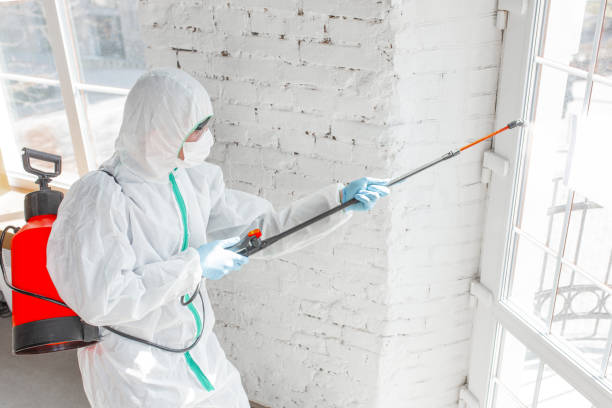 Mold Remediation for Rental Properties in Rio Vista, CA